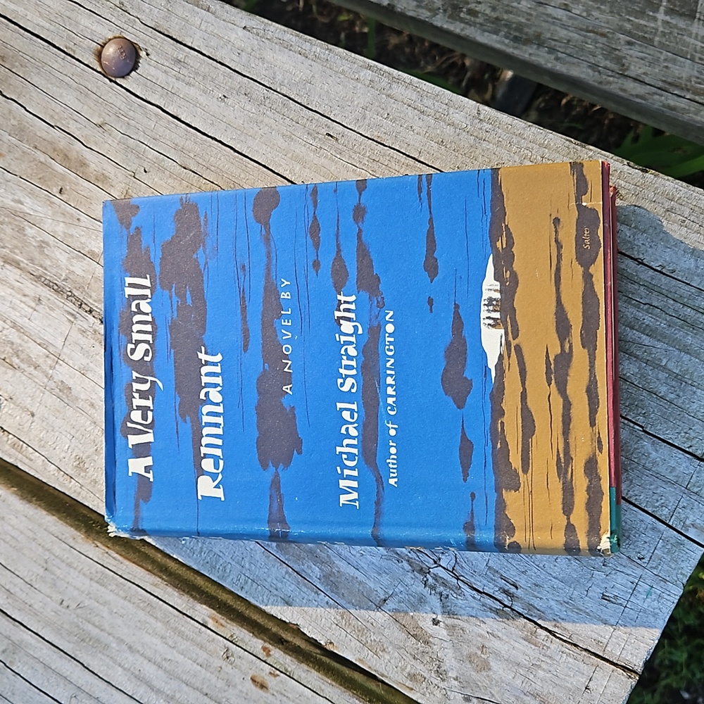 A Very Small Remnant by Michael Straight 1963 HCDJ First Edition